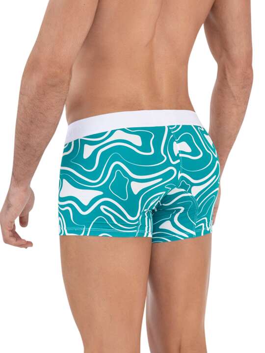 1637CL0 Boxer shorts Dynamic Clever Green face