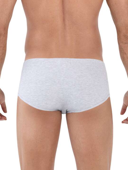 1605CL0 Classic briefs Spirit Clever Grey face