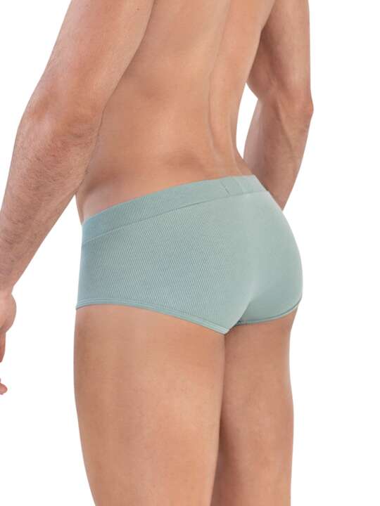 1605CL0 Classic briefs Spirit Clever Green face