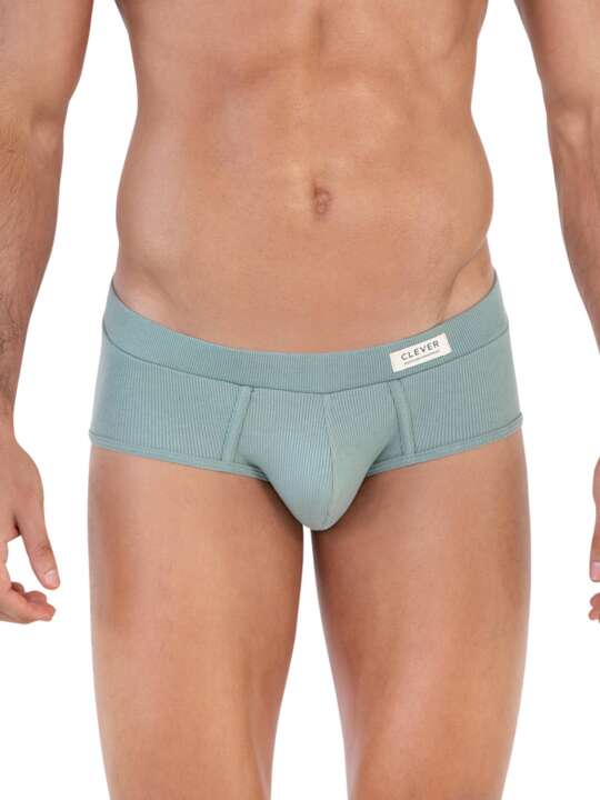 1605CL0 Classic briefs Spirit Clever Green face