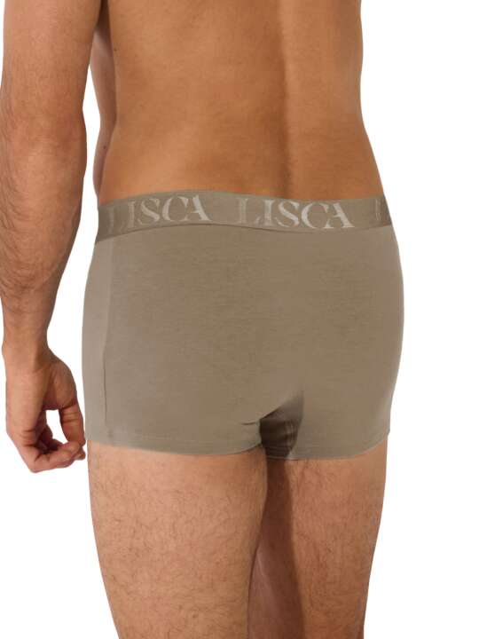 32039LI Boxer Odysseus Lisca Men Brown face