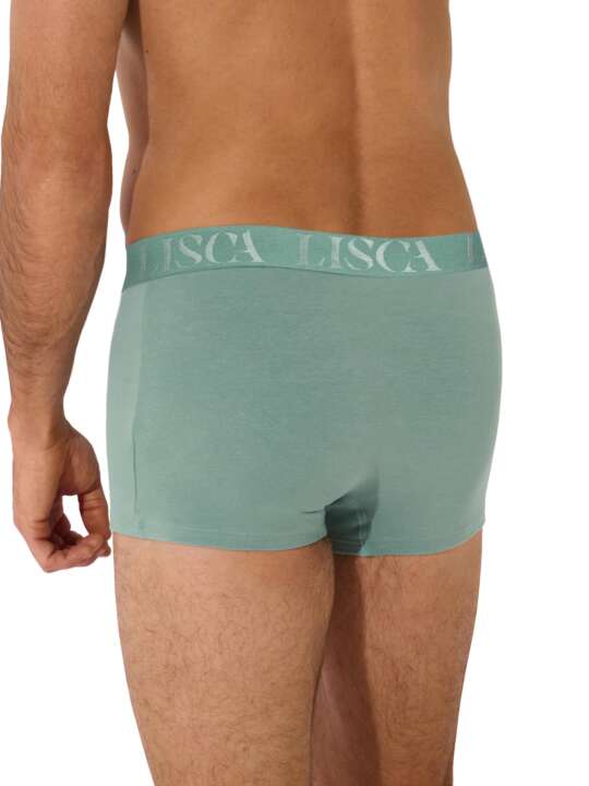 32039LI Boxer Odysseus Lisca Men Green face