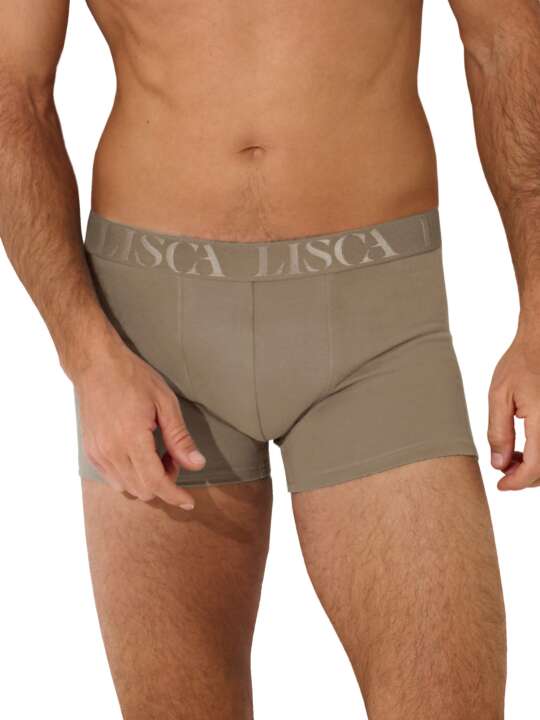 32039LI Boxer Odysseus Lisca Men Brown face