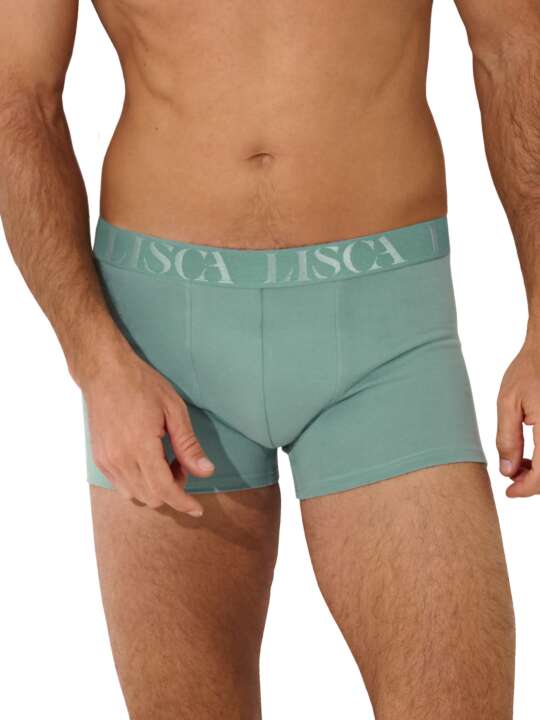 32039LI Boxer Odysseus Lisca Men Green face