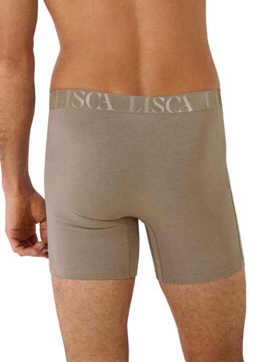 32040LI Long boxer Odysseus Lisca Men Brown face