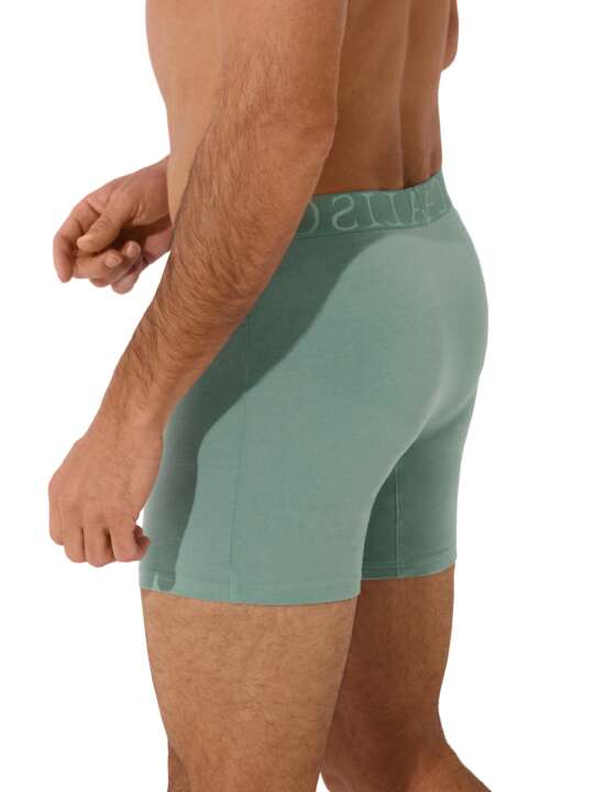 32040LI Long boxer Odysseus Lisca Men Green face