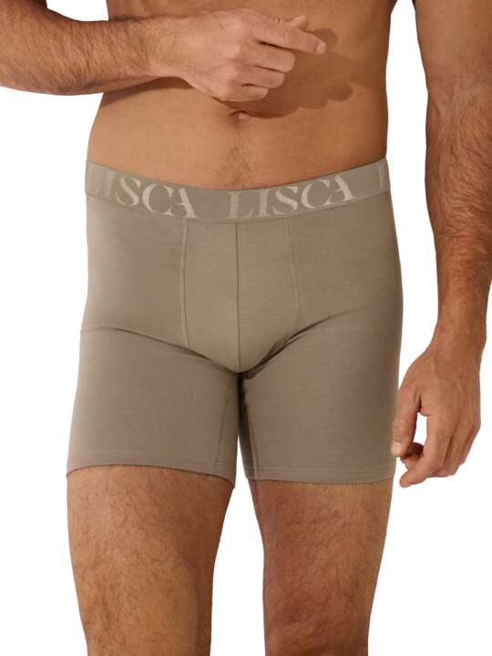 32040LI Long boxer Odysseus Lisca Men Brown face