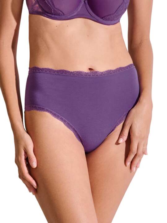 22351LI Slip taille haute échancré EVERYDAY Lisca Violet face